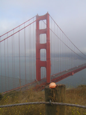 Golden Gate Schwein View Point 2