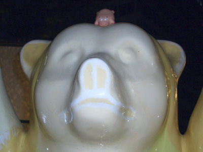 CIMG5917